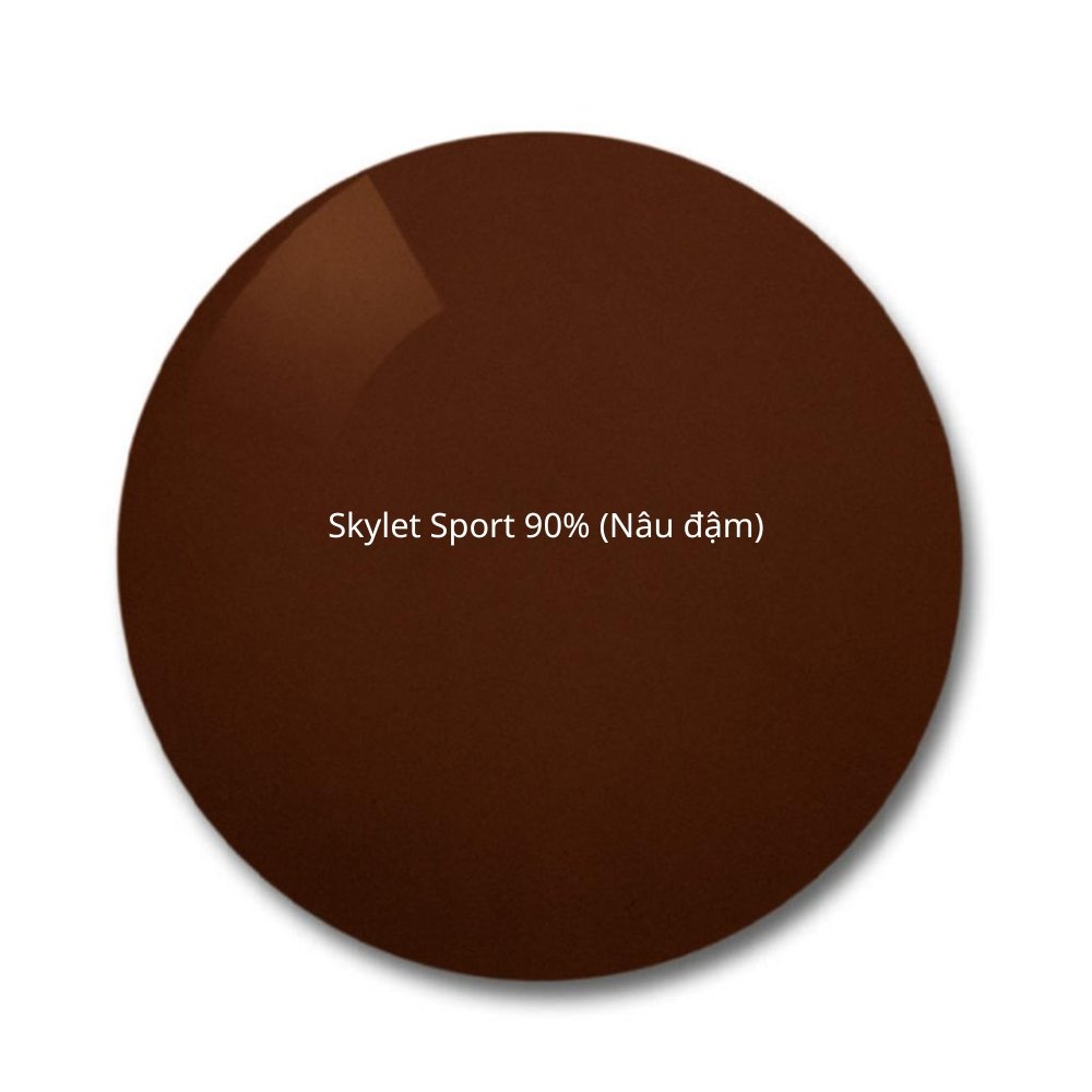 Đa tròng Polarized ZEISS Progressive Light 2 D 9 Đa tròng Polarized ZEISS Progressive Light 2 D - Ảnh 7