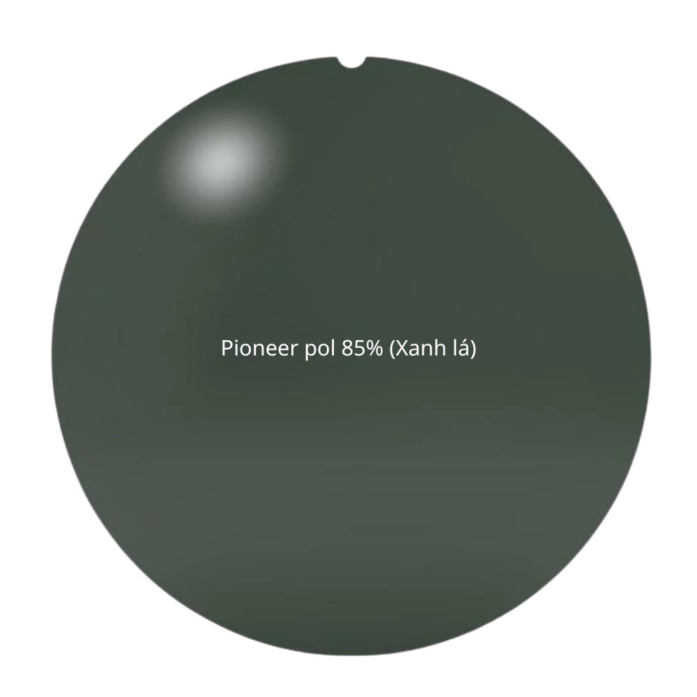 Đa tròng Polarized ZEISS Progressive Light 2 D 6 Đa tròng Polarized ZEISS Progressive Light 2 D - Ảnh 4