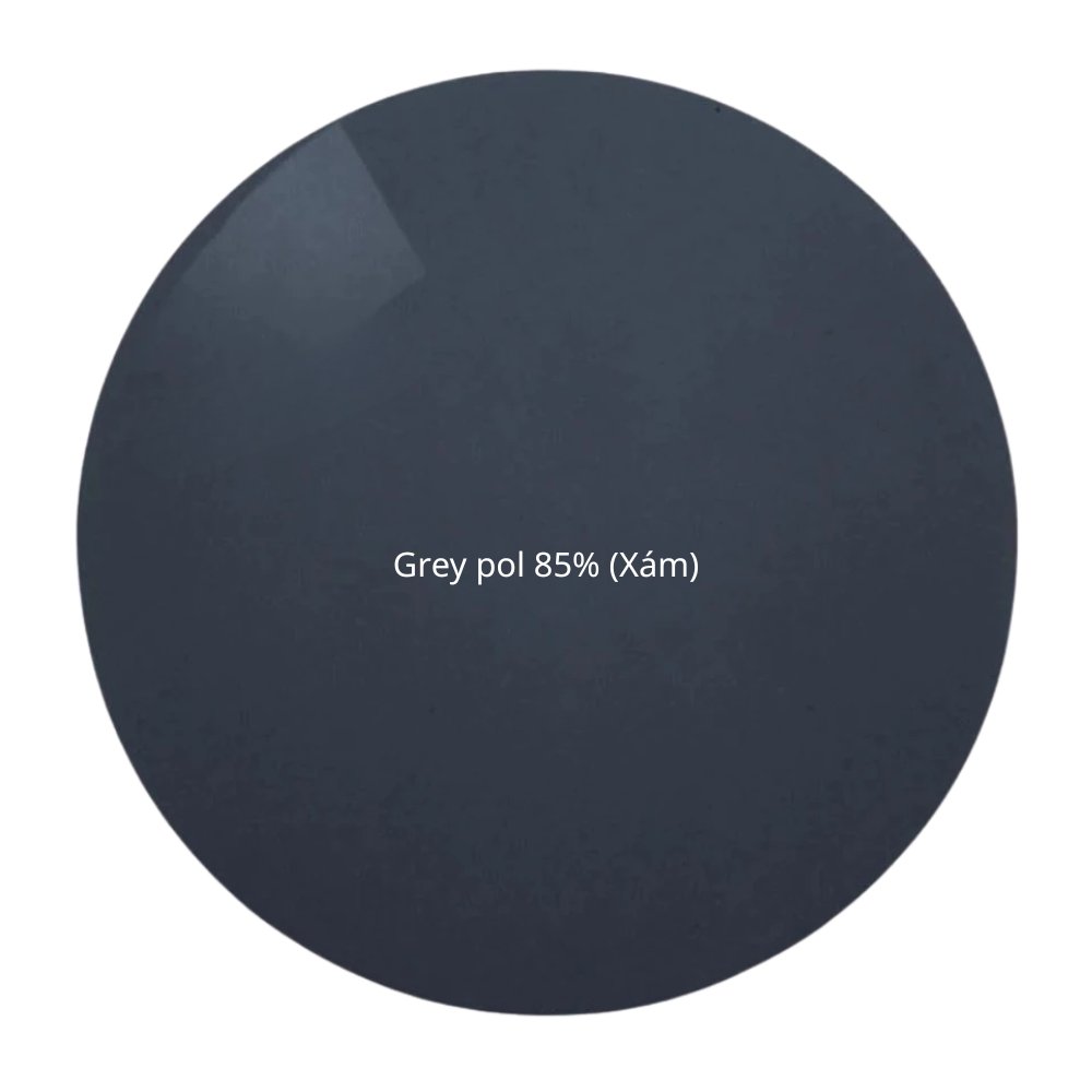 Đa tròng Polarized ZEISS Progressive Light 2 D 7 Đa tròng Polarized ZEISS Progressive Light 2 D - Ảnh 5