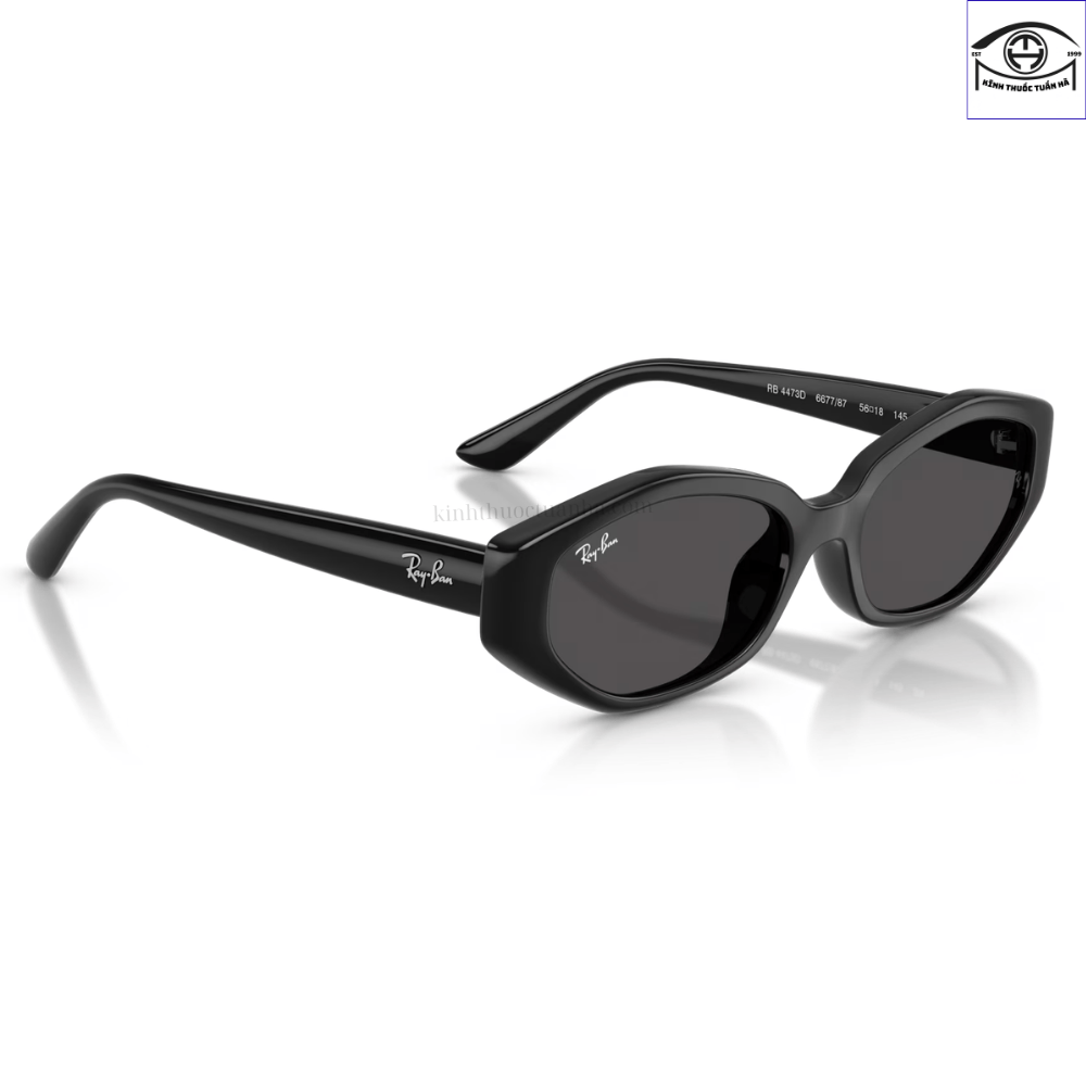 Kính Mát Ray-Ban 0RB4473D 7 Kính Mát Ray-Ban 0RB4473D - Ảnh 5