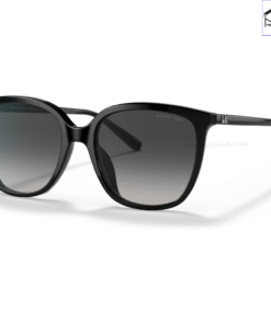 Kính Mát MICHAEL KORS Anaheim 0MK2137U