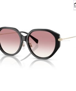 Kính Mát MICHAEL KORS Jinan 0MK2248D