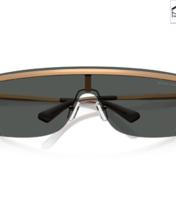 Kính Mát MICHAEL KORS Palisades 0MK1169