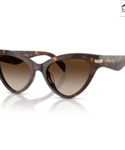 Kính Mát MICHAEL KORS Roanoke 0MK2259U