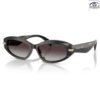 Kính Mát MICHAEL KORS Wilmington 0MK2260D