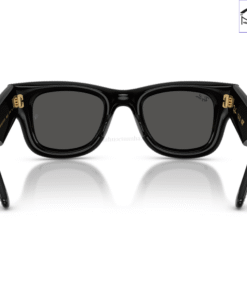 Kính Mát Ray-Ban Wayfarer Puffer 0RB4940BP