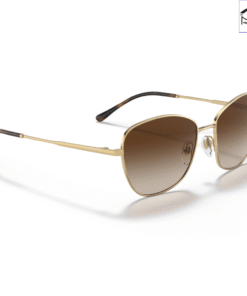 Kính mát Vogue Eyewear 0VO4232S