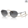 Kính Mát Vogue Eyewear 0VO4254S