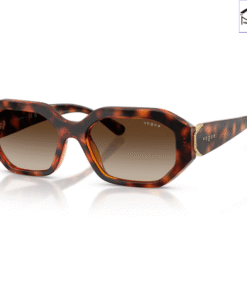 Kính mát Vogue Eyewear 0VO5675S
